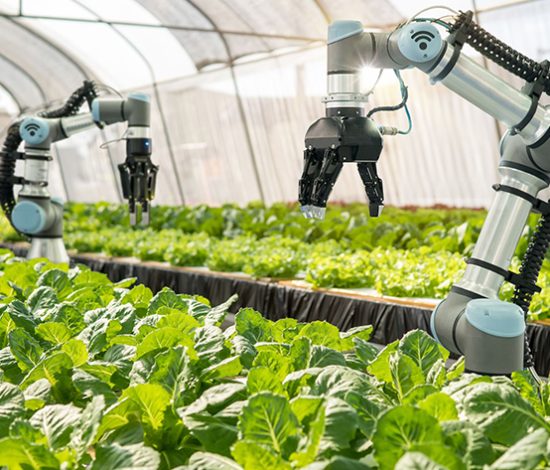 Smart Farming Solutions