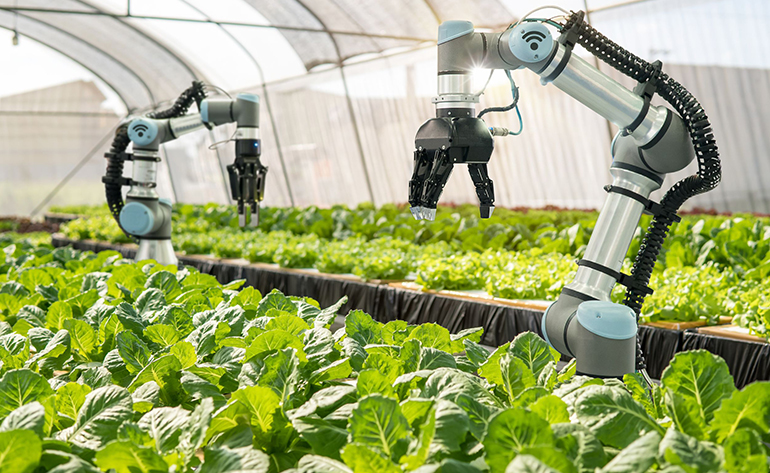 Smart Farming Solutions